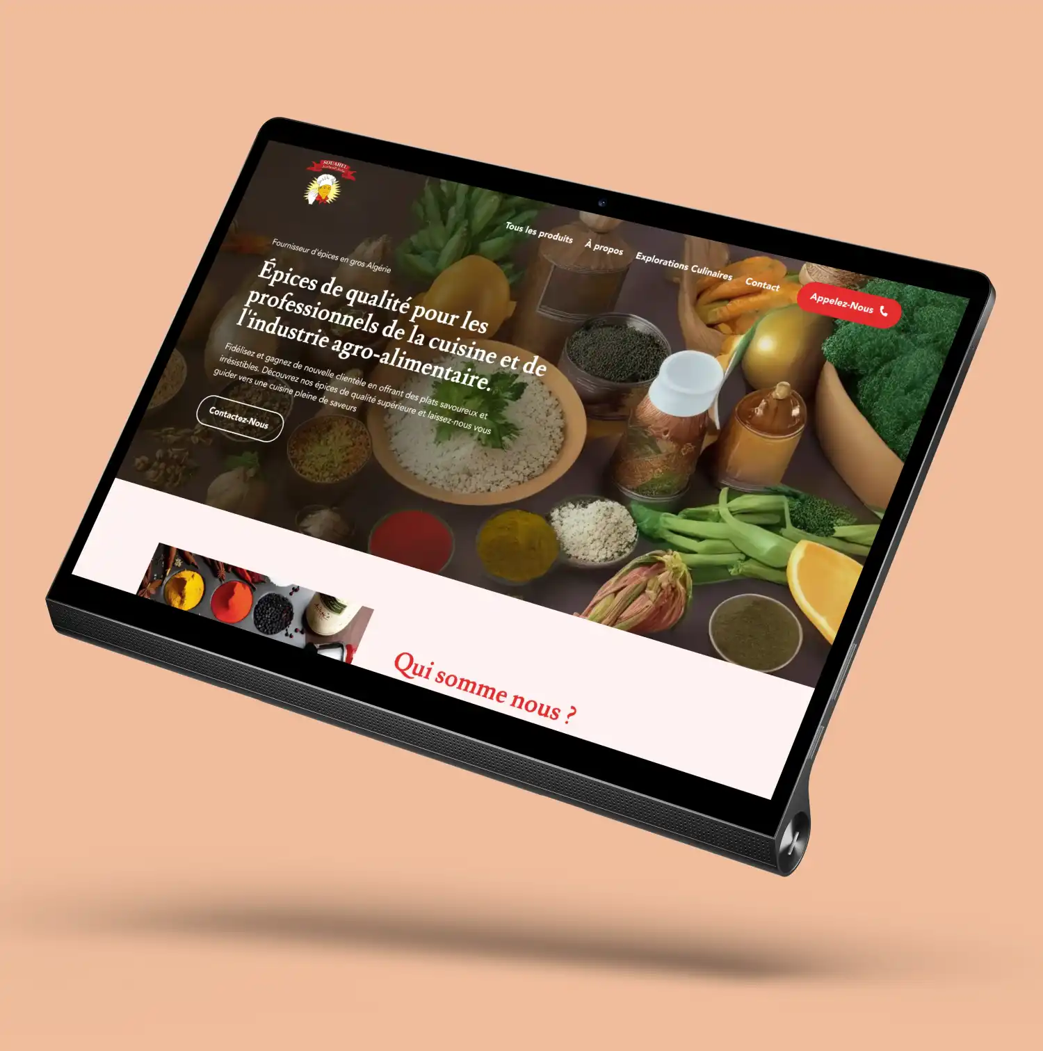 On design des sites Web beaux et rentables